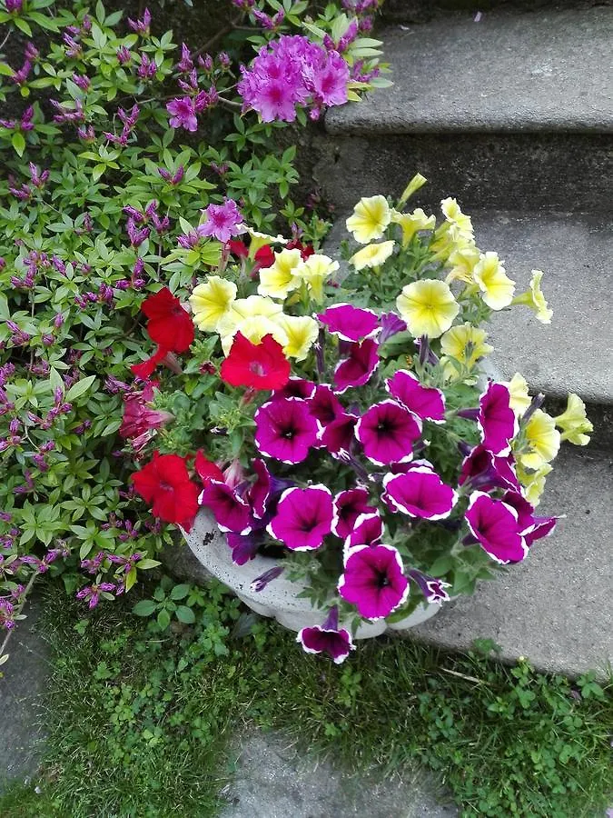 Guest house Villa Torretta Varenna
